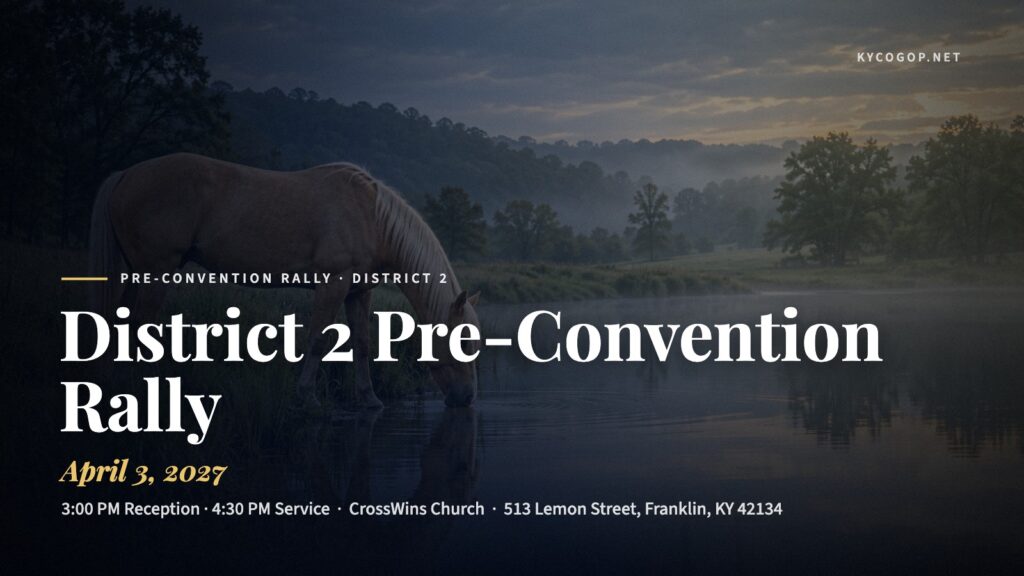 District 2 Pre-Convention Rally poster